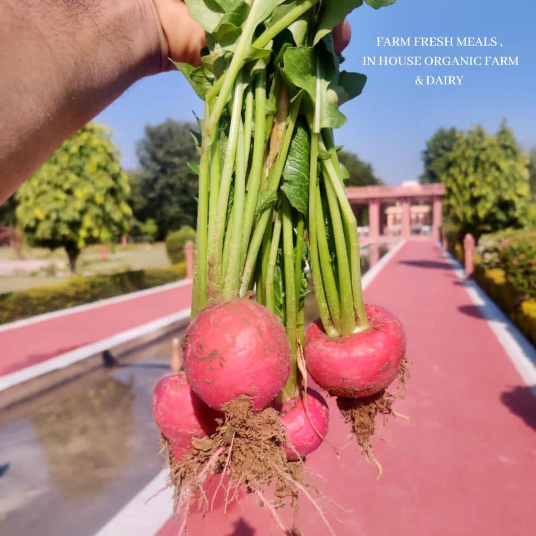 Umaid Palace - A Lakeside Heritage Palace Resort Near Jaipur Close To Bhangarh & Chand Baori Stepwell Abhaneri Dubbi Экстерьер фото